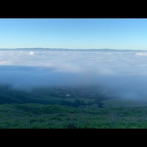 Meet your Posher, Teresa